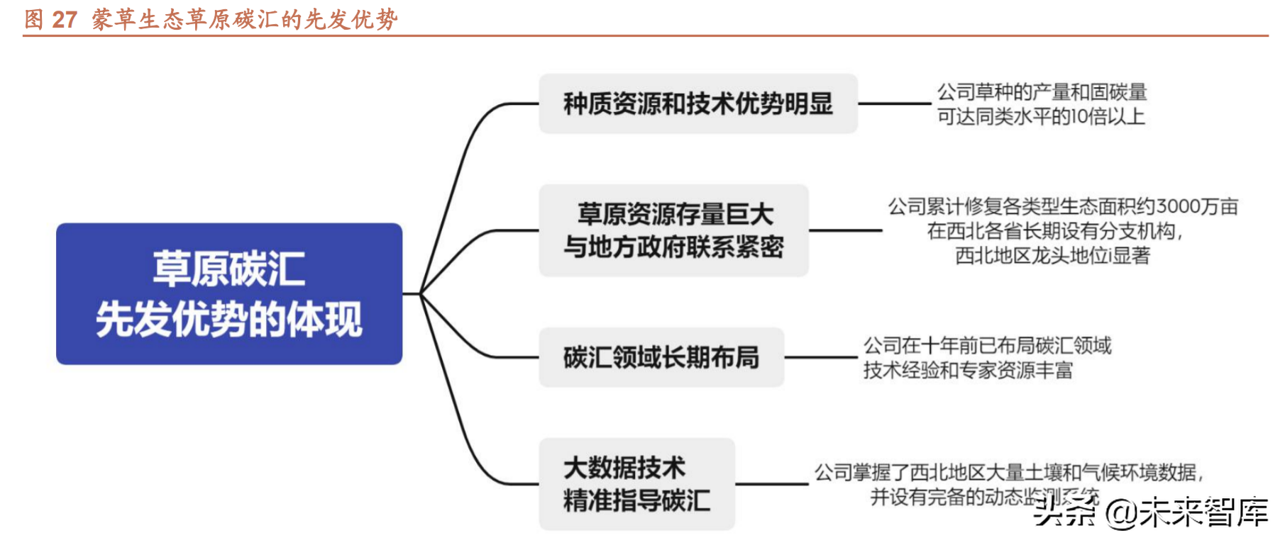 “碳资产管理”站上时代风口，东珠生态林业碳汇有望成为业绩新增长点