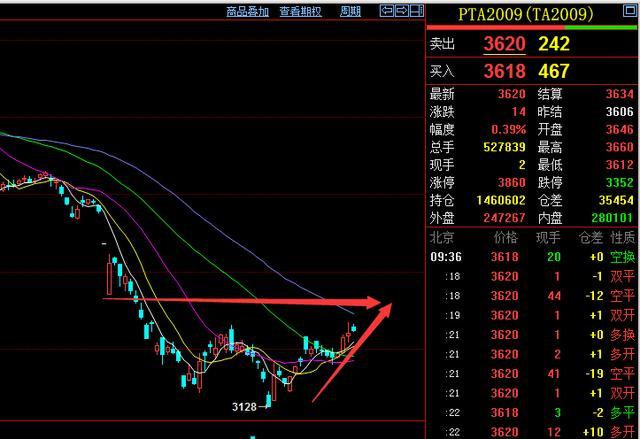 7月16日PTA期货持仓龙虎榜分析：多方呈进场态势