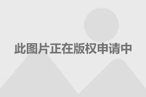 绿色动力：与北京大学深圳研究院等机构签订合作框架协议