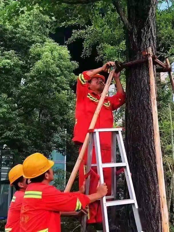 多地停课、停运、景区关闭！台风“格美”北上，这五省将有暴雨！湖南发布红色预警，江西有路基发生坍塌