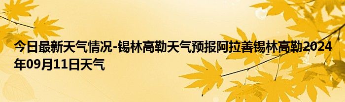 2024年9月30日今日对氯苯甲醛价格最新行情走势