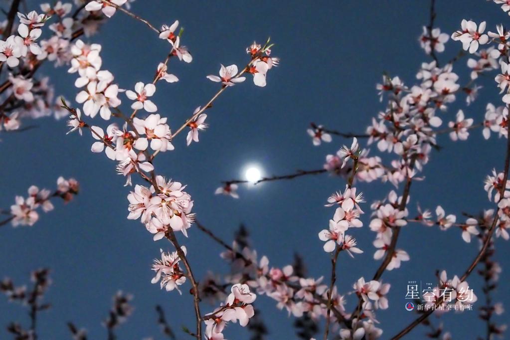 星空有约｜10月5日和6日傍晚看金星伴月映美苍穹