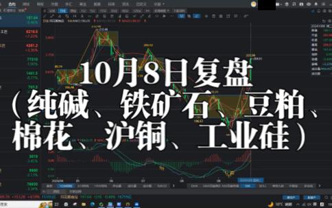 2024年10月10今日纯碱现货价格最新消息