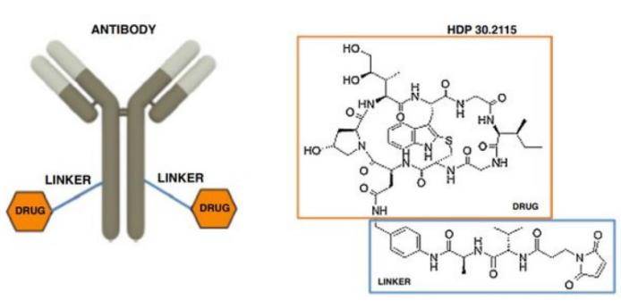 华东医药：全资子公司HDP-101获批药物临床试验