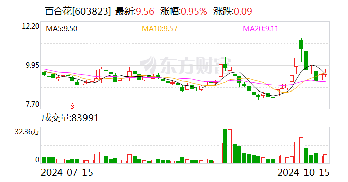 注意！朗玛信息将于12月12日召开股东大会