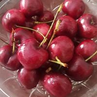 宁德时代大宗交易成交995.13万元