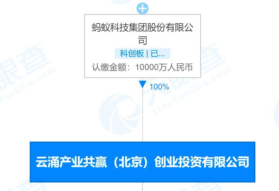 韩歆毅2025年3月将接任蚂蚁集团CEO