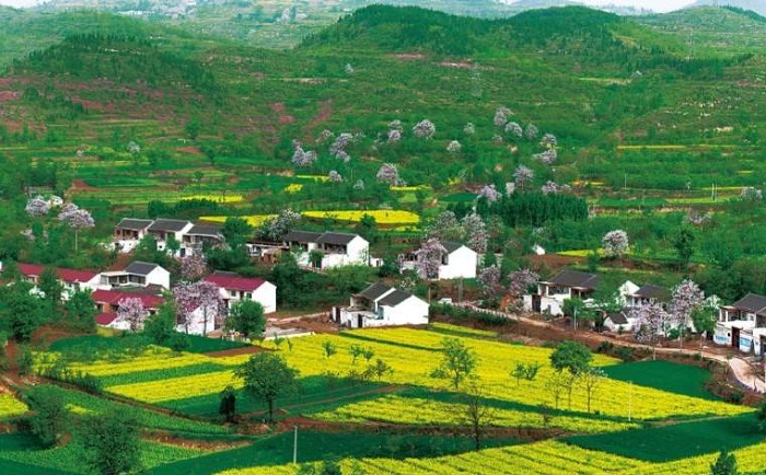 【发展论衡】乡村全面振兴也需要优化营商环境