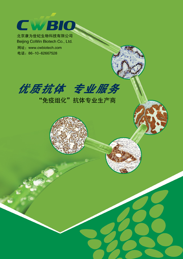 浙文互联:旗下派瑞威行是腾讯广告金牌服务商 效果广告业务覆盖K1消费品类等四大领域