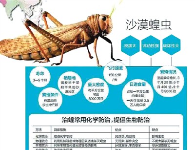 新模型助力提前控制沙漠蝗虫灾害