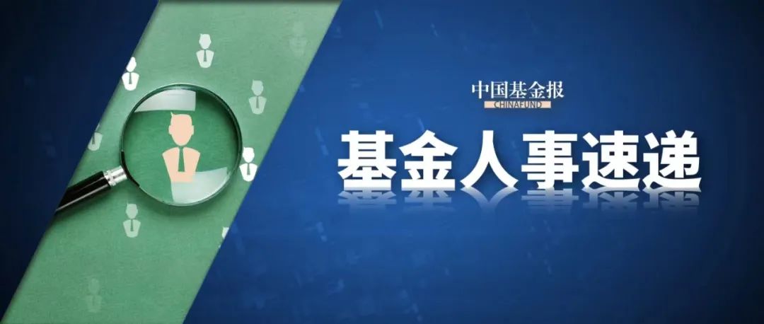 基金经理看2025：科技为“矛”红利做“盾”