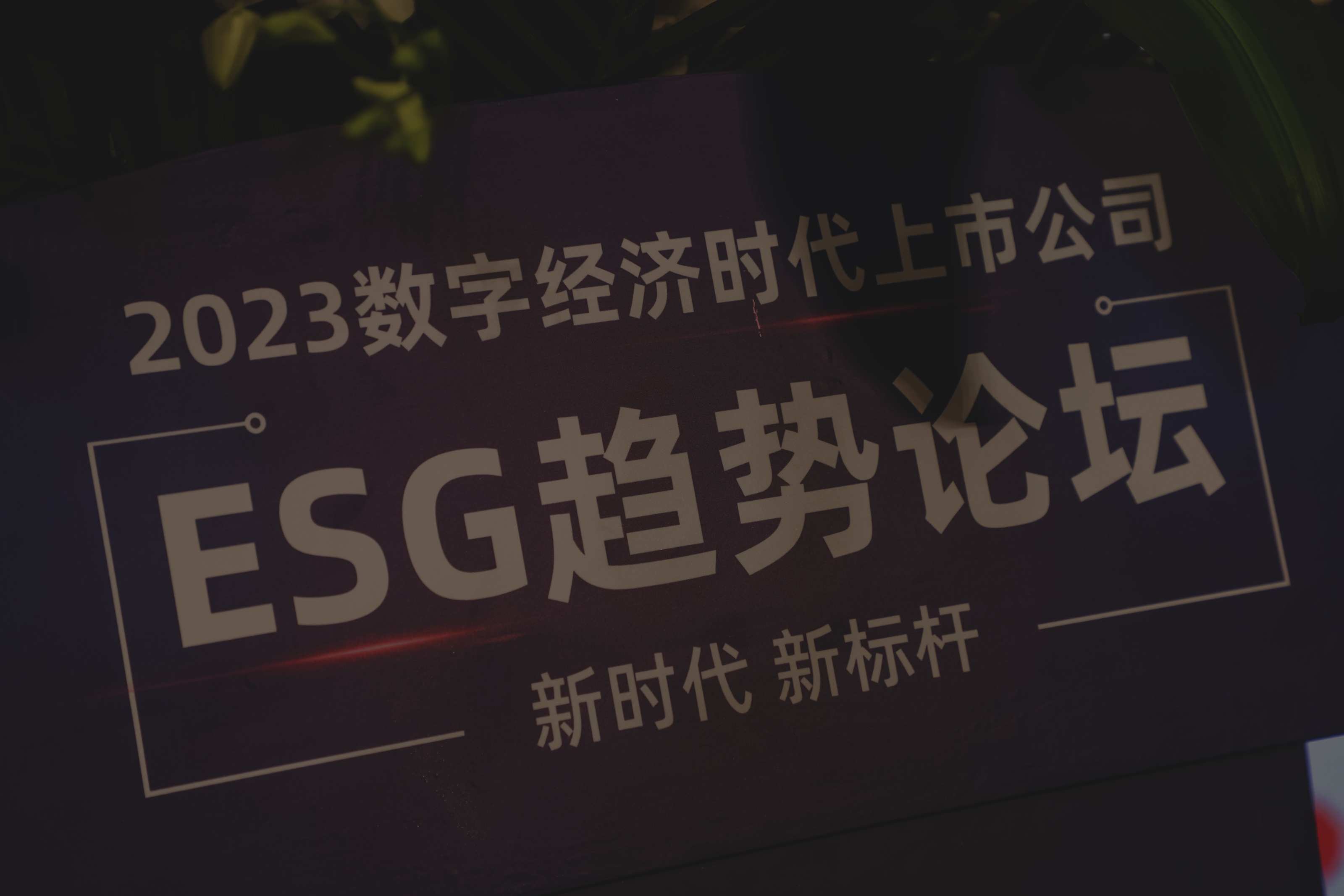 上交所调研走访沪市大消费行业 上市公司对今年消费趋势持积极态度