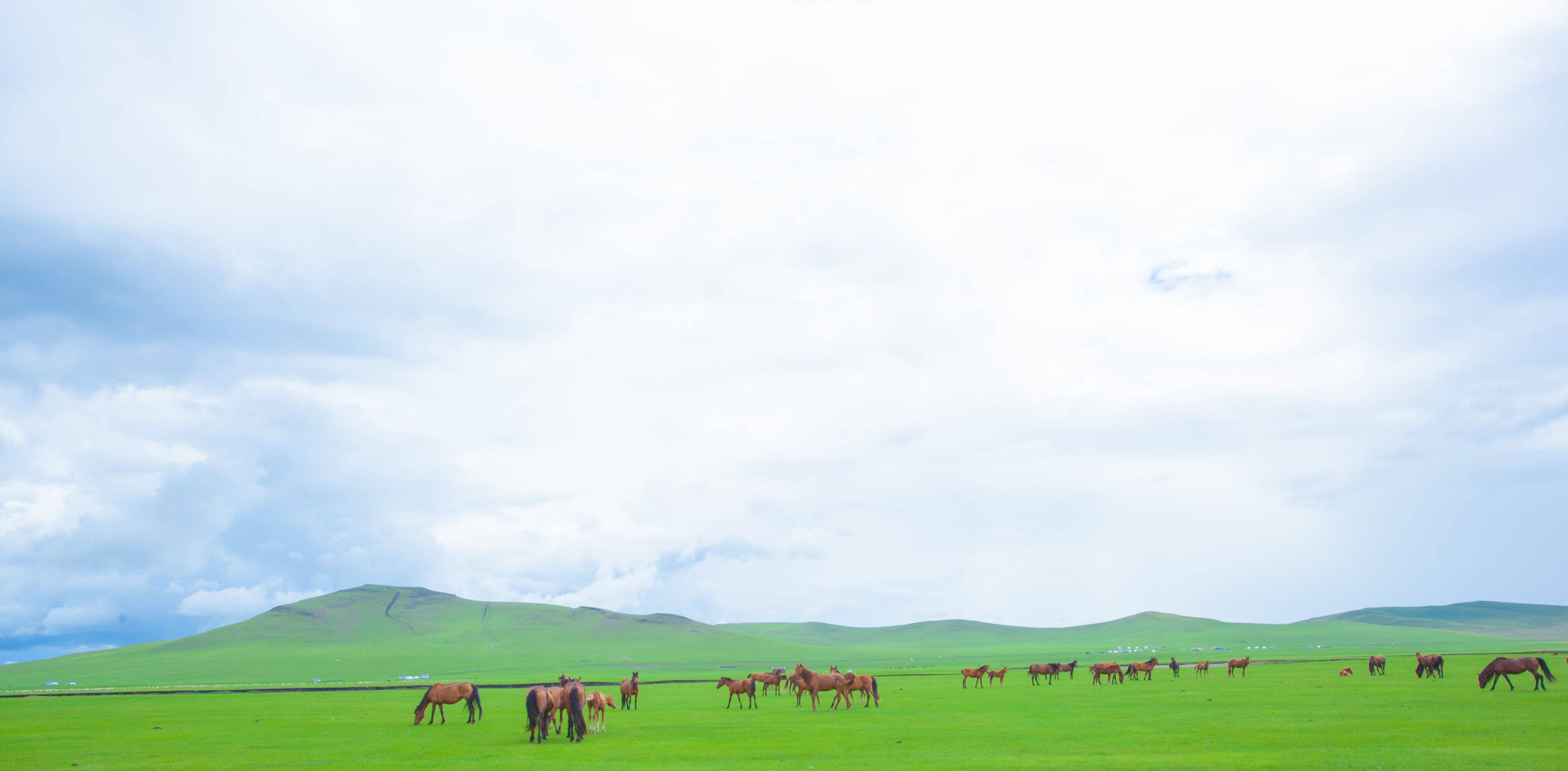 2025年3月蒙古居民消费价格同比上涨9.1%