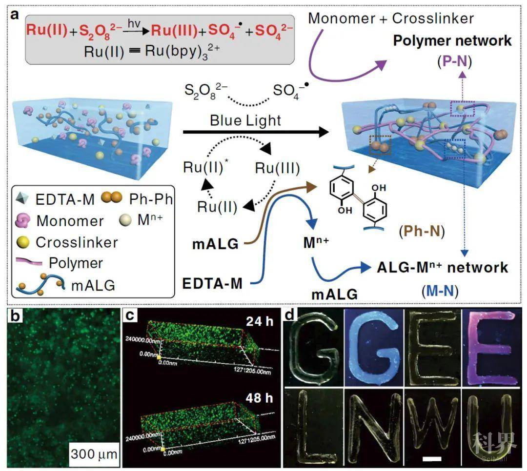 力源科技业绩亮眼,多重优势共同构筑竞争护城河
