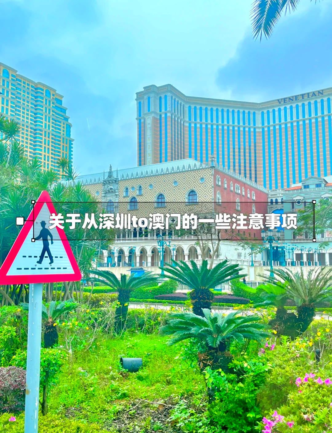 深圳前7月进出口规模居内地城市首位；澳门上半年会展活动增长近三成丨大湾区财经早参