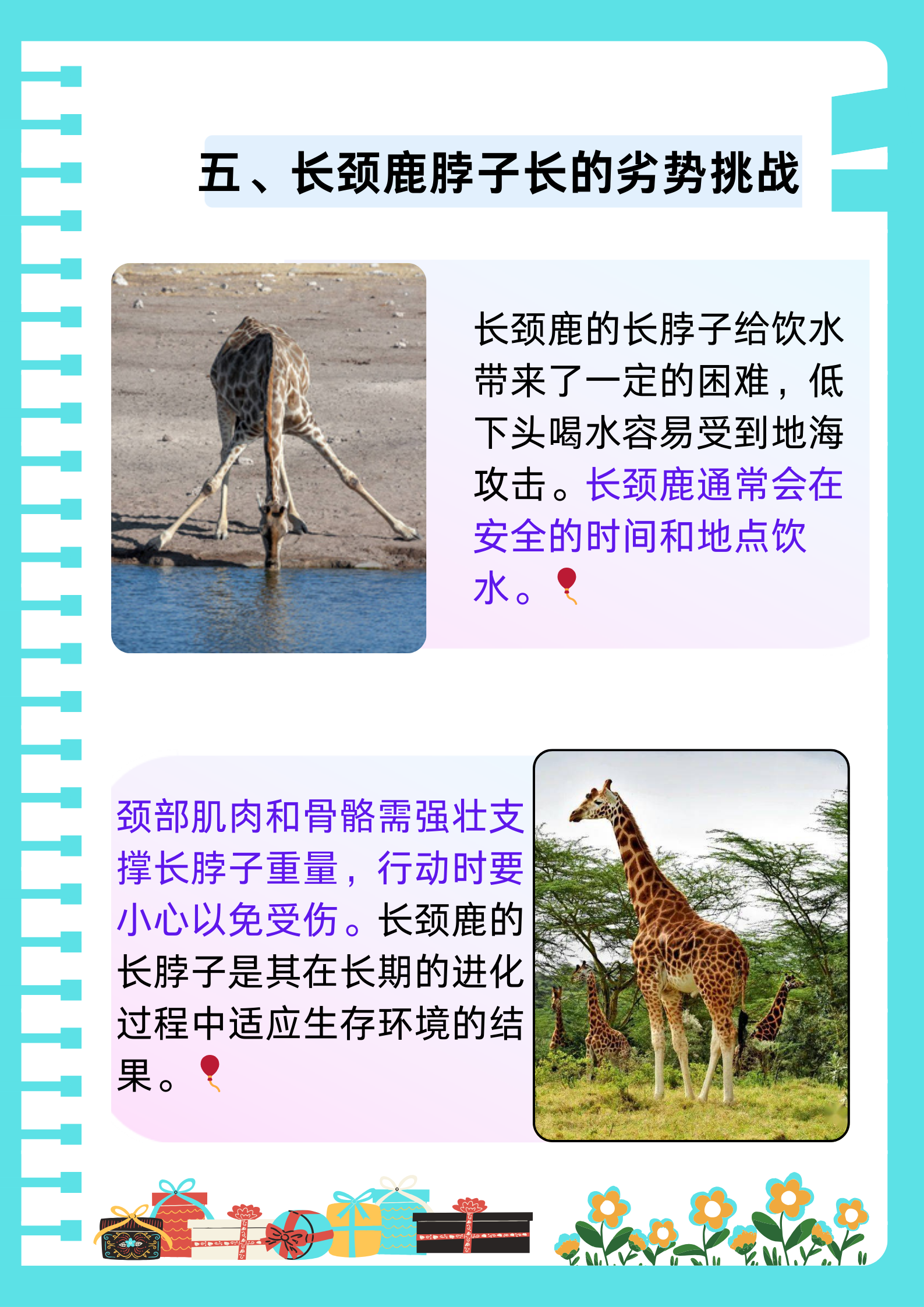 世界自然保护联盟确认长颈鹿有4个种