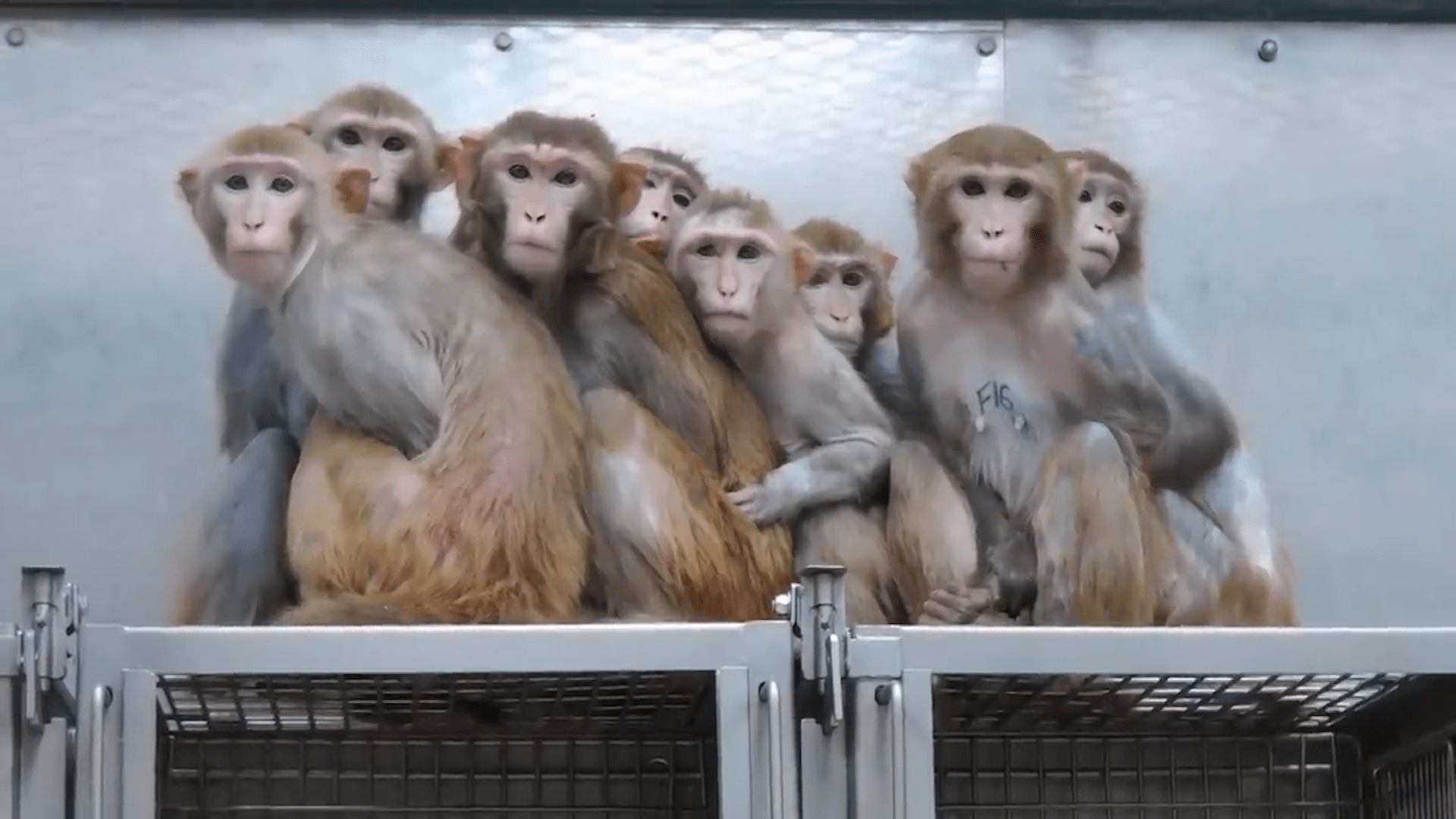 动物疫苗概念下跌0.72%,6股主力资金净流出超千万元