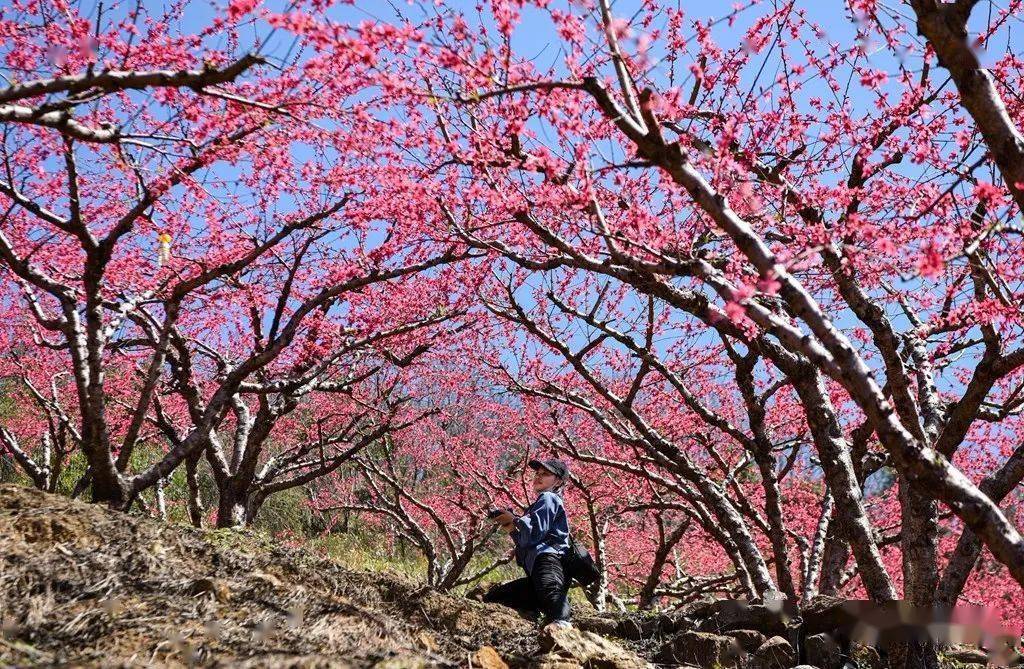 华金证券给予南方传媒增持评级