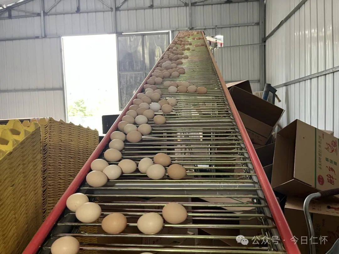 扬州龙投兴质二期产投基金成立 出资额20亿元