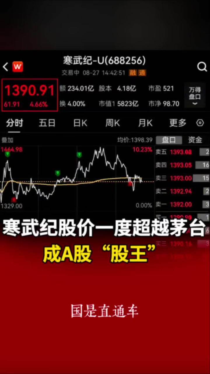 寒武纪，新“股王”！