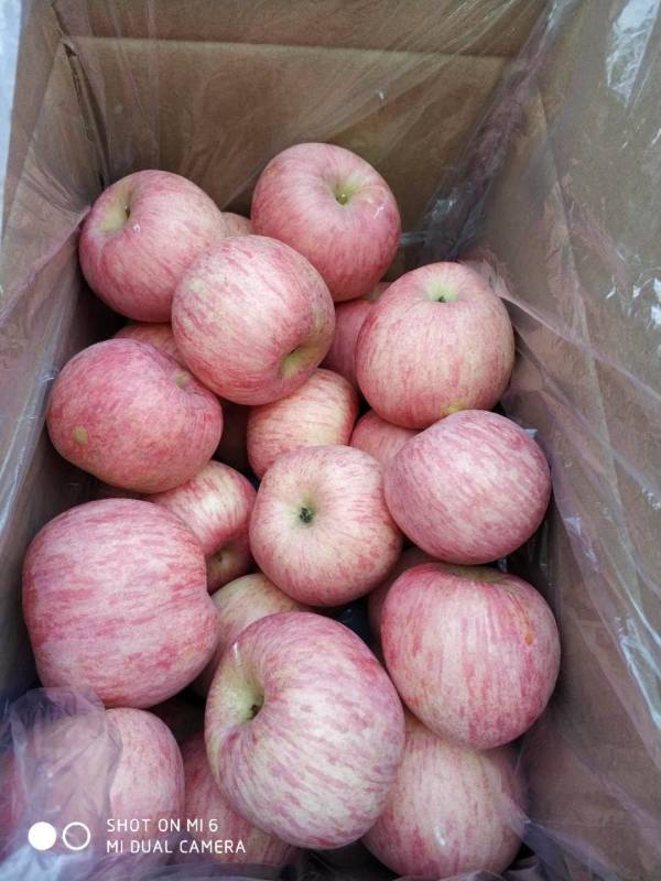 宏辉果蔬:上半年净利润692.43万元,同比下降44.82%