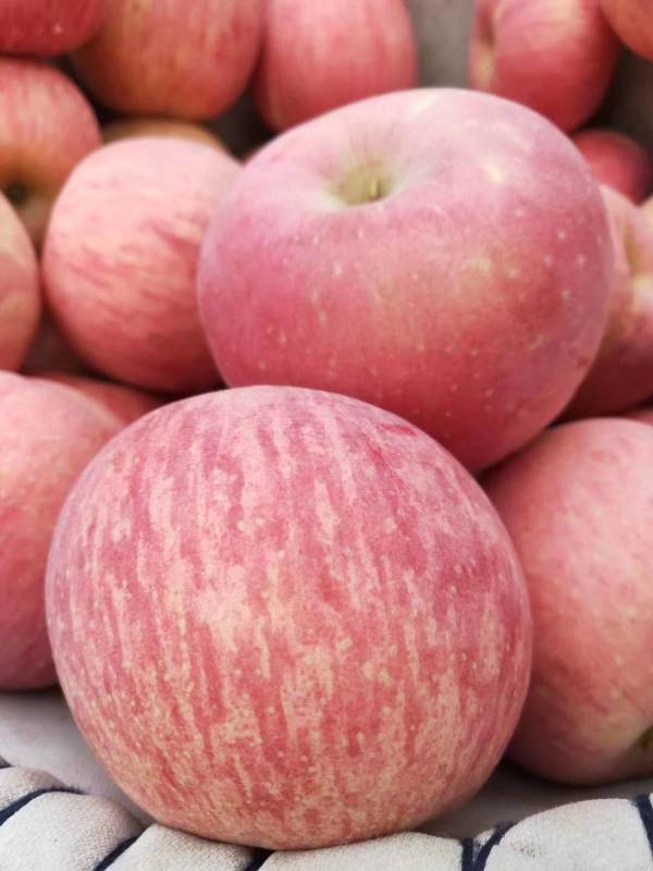 宏辉果蔬:上半年净利润692.43万元,同比下降44.82%