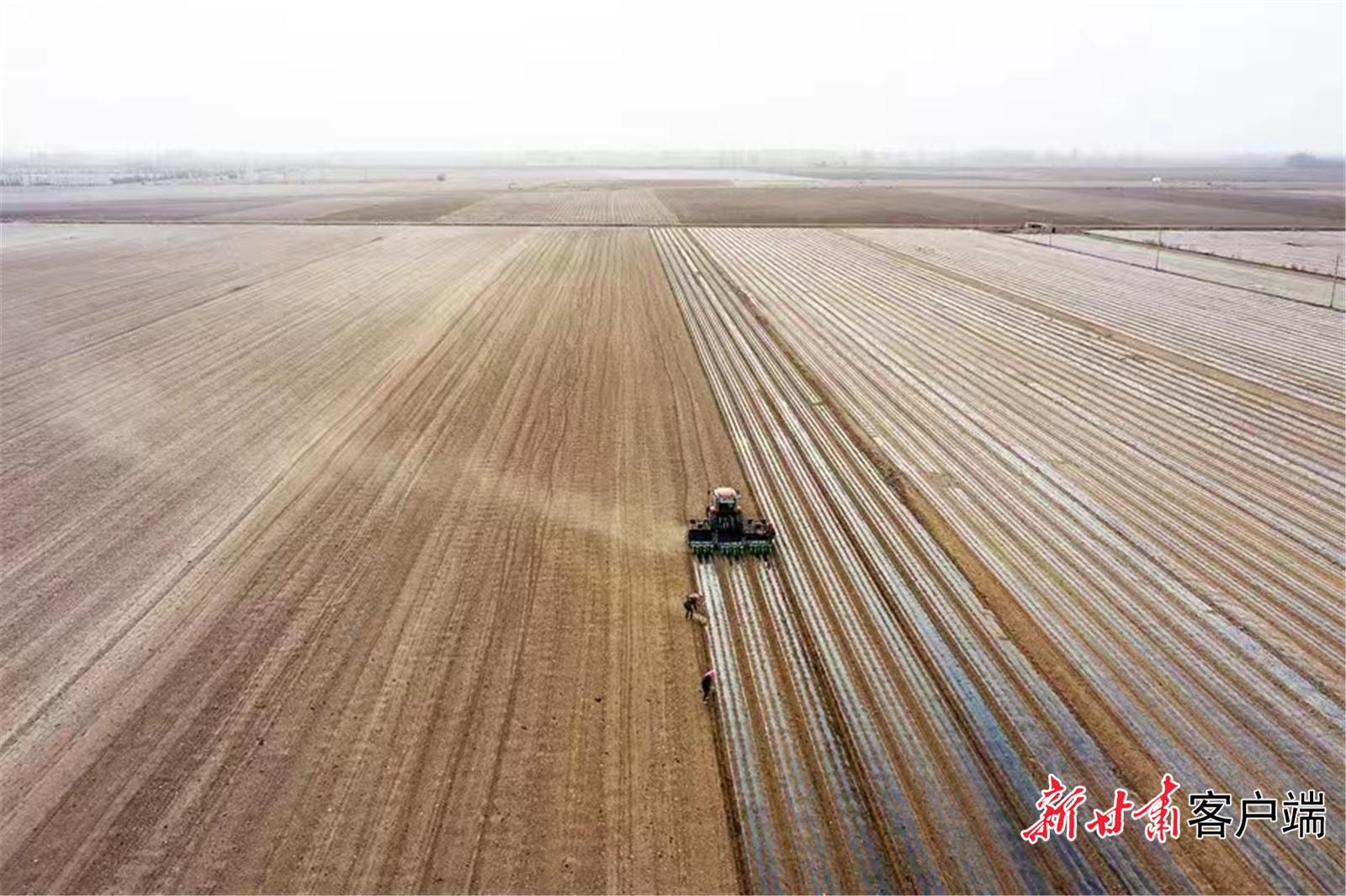 陕西：提升农业科技创新能力 加快打造旱区农业新质生产力策源地