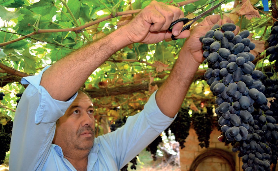 乌兹别克斯坦将迈向和平利用核能的自主发电阶段