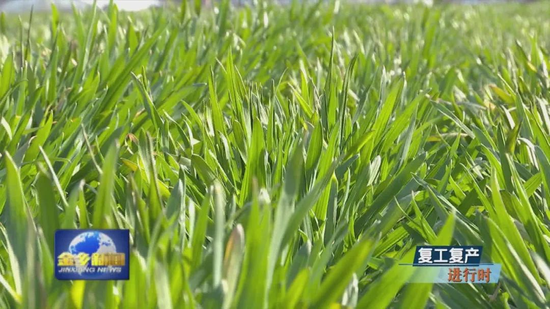 东方电气董事长罗乾宜:“十五五”时期将坚持传统产业和战新产业两手抓