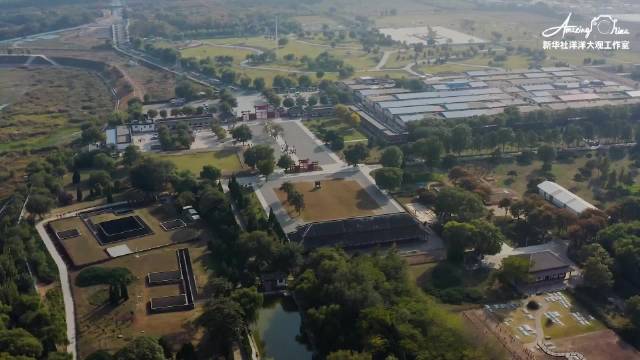 洋洋大观｜沉睡三千年，AI焕活甲骨文“归乡”路