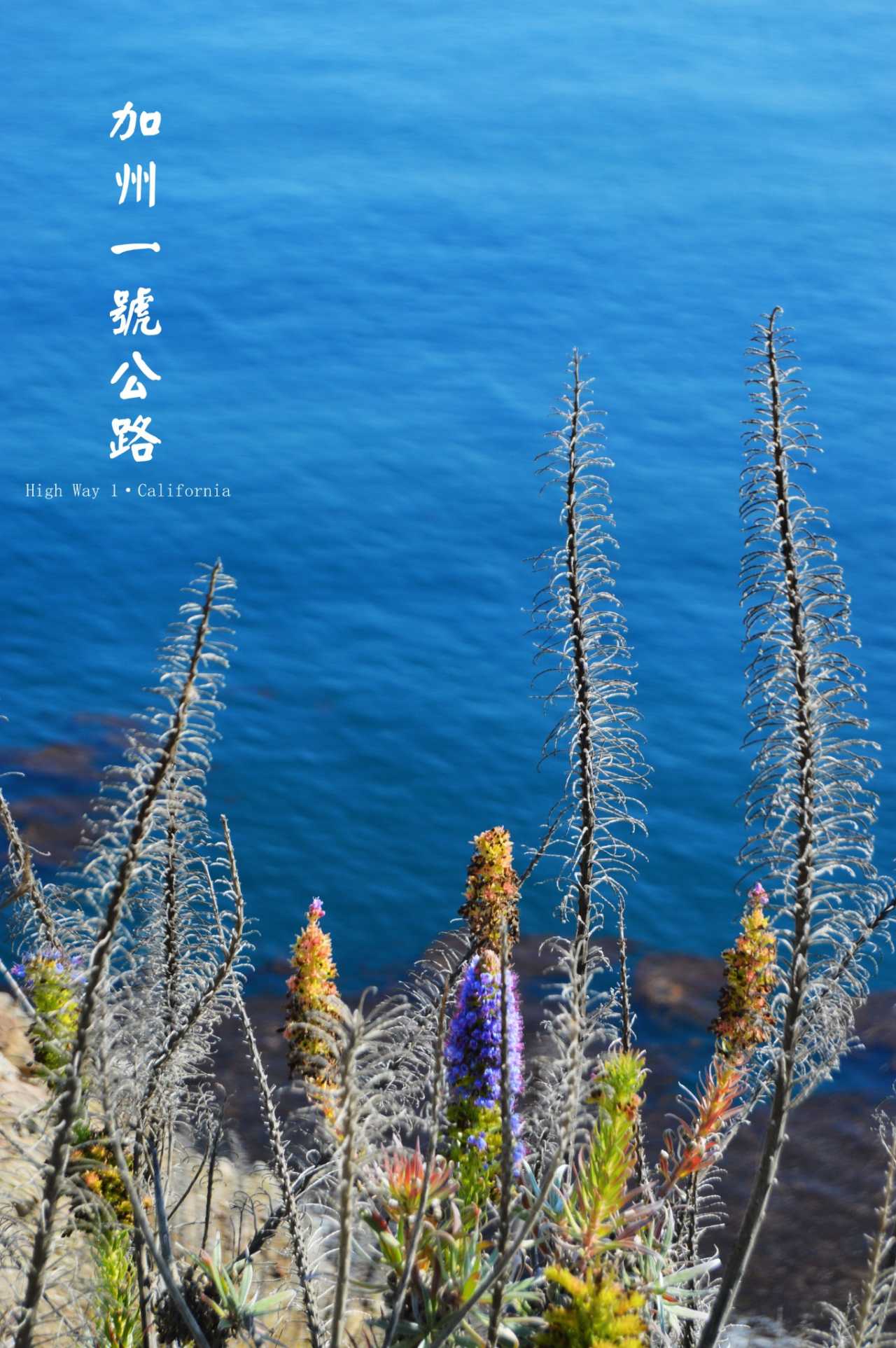 格陵兰首府突然全市停电，市民用蜡烛照明！有人发起“丹麦买下加州”请愿，近30万网民参与