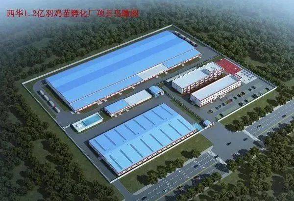 江龙船艇:2025年预亏9000万元—1.2亿元