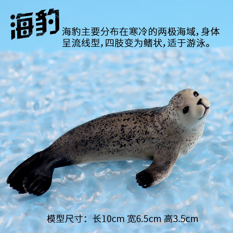 海洋大模型“飞鱼-1.0”发布 助力智能化预报