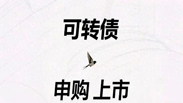 艾为电子：19.01亿元可转债2月26日在上交所上市