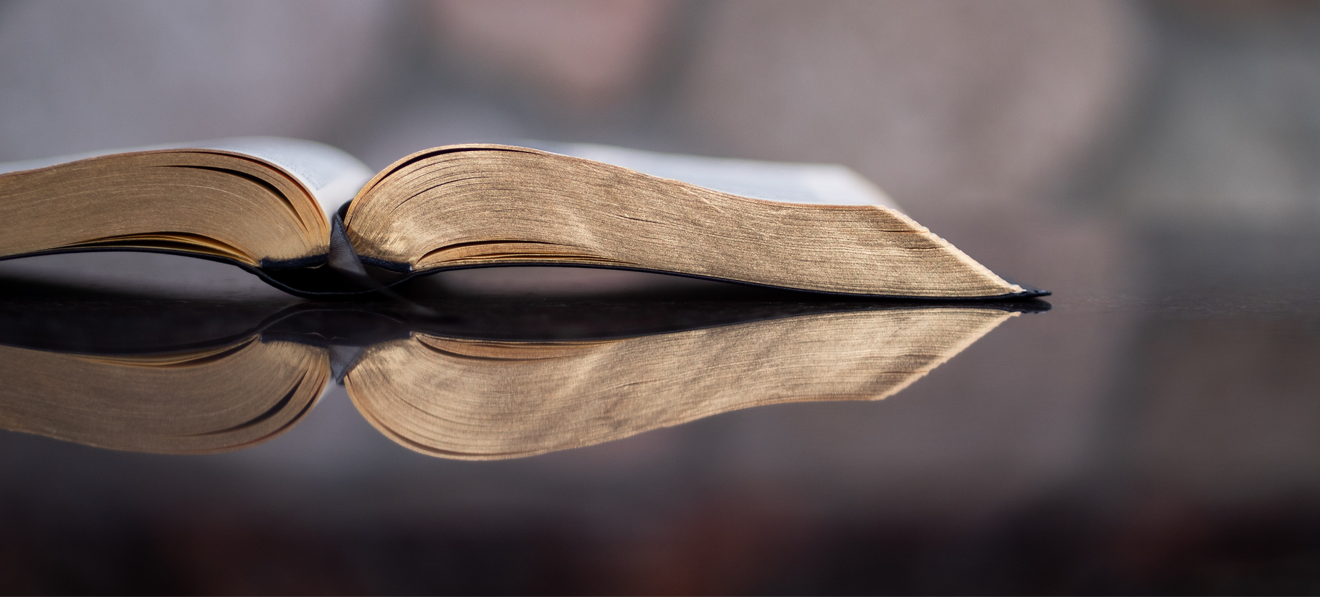 伯特利：拟收购豫北转向控股权