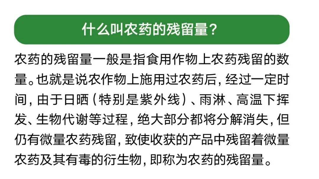 2026版农药残留限量食品安全国家标准将于3月1日起正式实施
