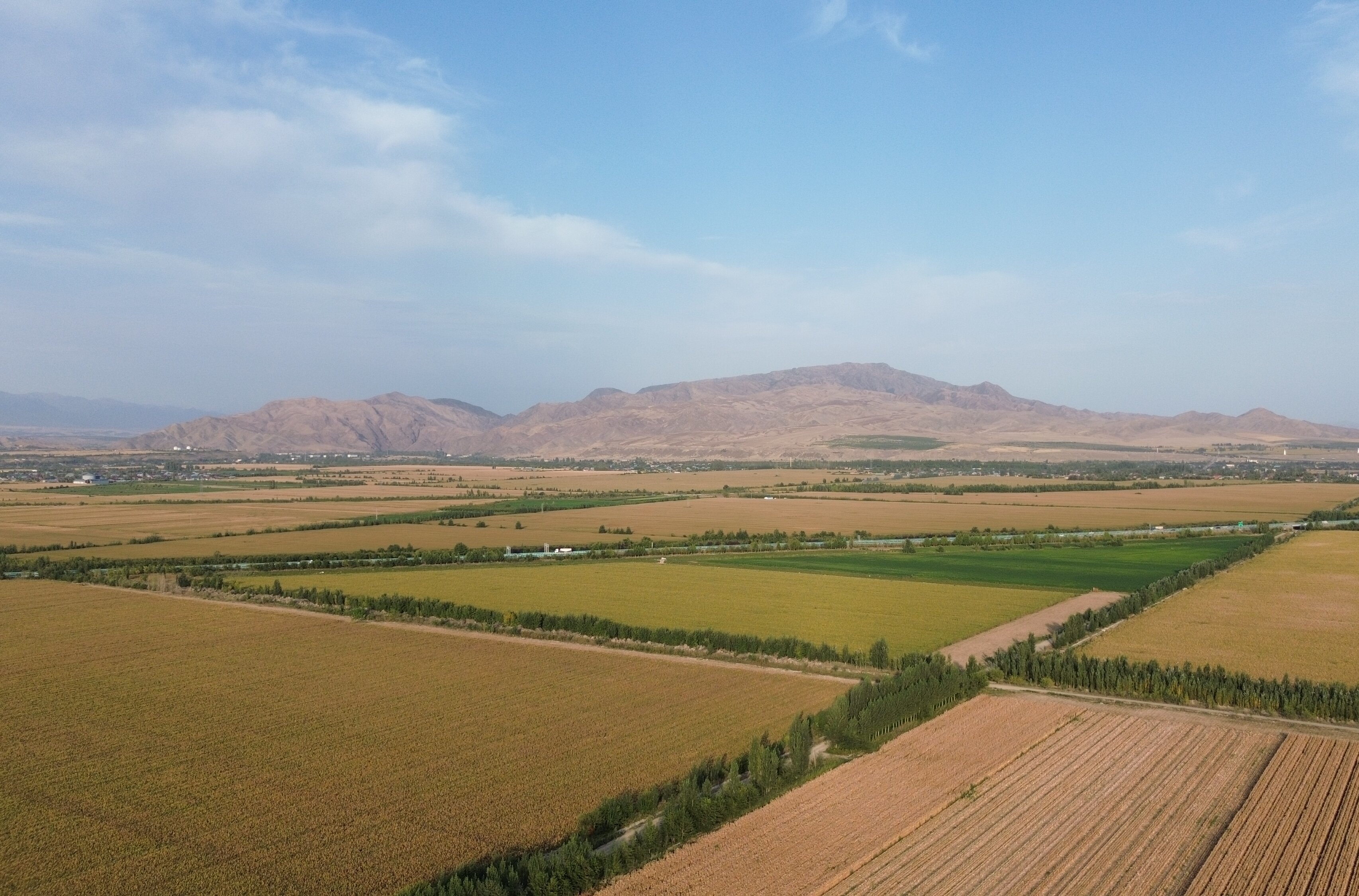 农业板块逆市活跃，种业股表现亮眼，秋乐种业等大涨