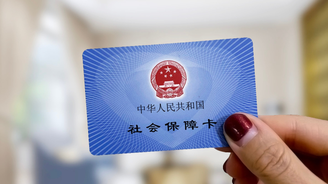 全国人大代表陈雪萍:建议进一步优化大龄农民工再就业