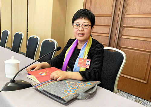 两会丨全国政协常委、经济委员会副主任马建堂:提振消费要多措并举要把更多投资聚焦于人