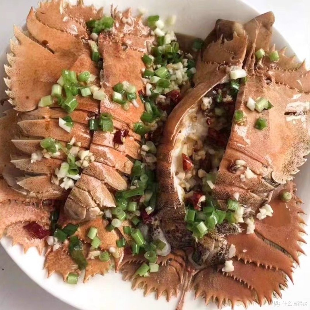 “我做了一年多智能体科普,还比不上龙虾一夜火爆!”关于龙虾的一切,周鸿�t这么看→