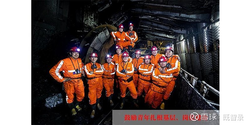 中远海控：穿越周期波动，高额分红彰显回报诚意，公司以ESG构筑发展新范式