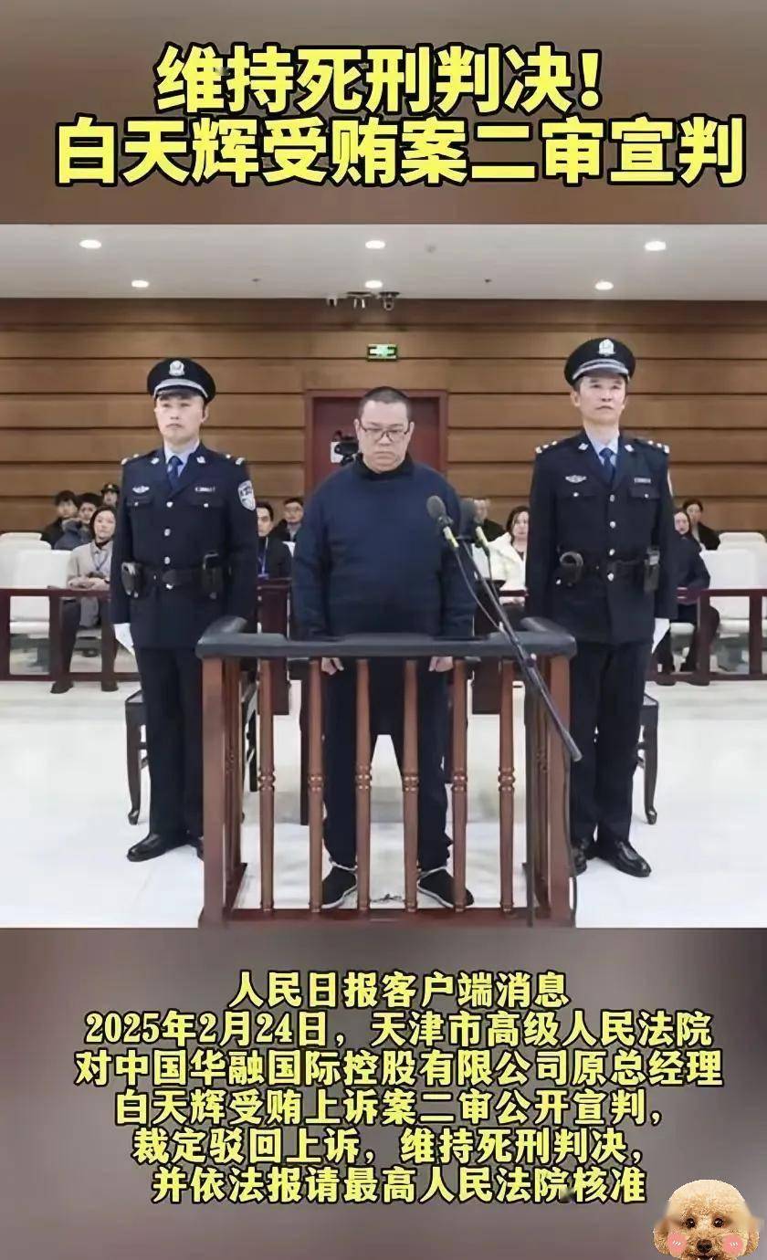 中赋科技:“中环转2”距离停止交易仅剩最后半个交易日