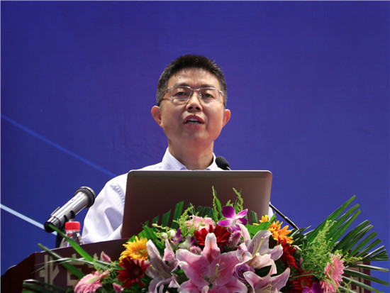 国家金融与发展实验室主任张晓晶:我国需要培育新型高收益债券市场