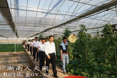 湖南省人大常委会原党组书记、副主任乌兰严重违纪违法被开除党籍和公职