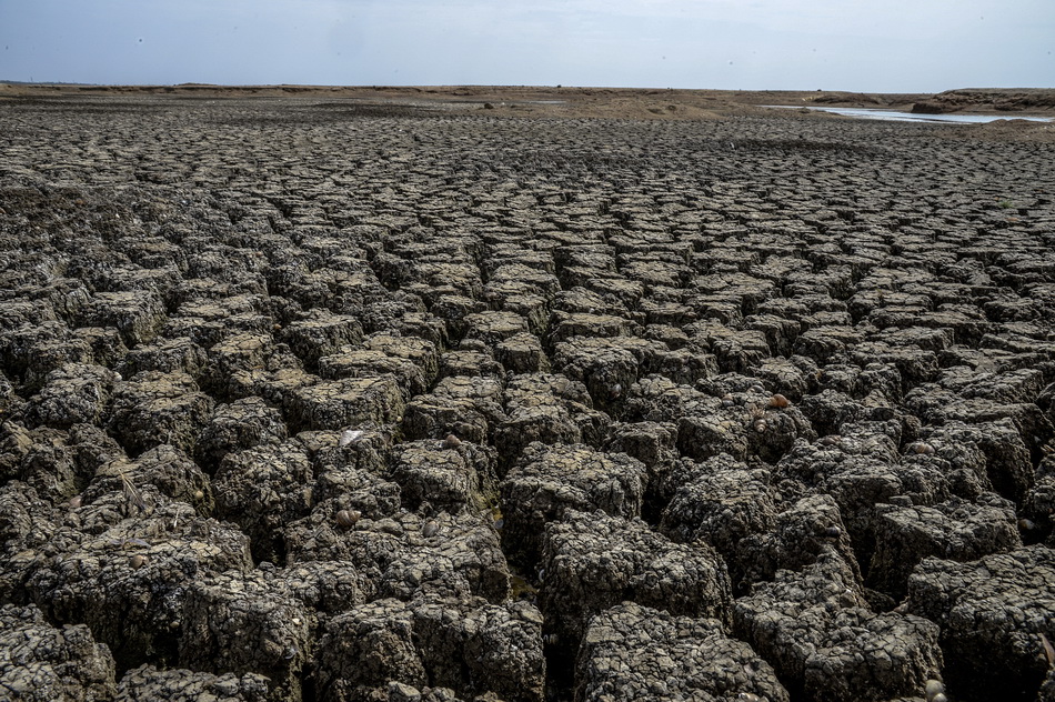 印度人均水资源量较1961年降七成，政府谋划长期改革