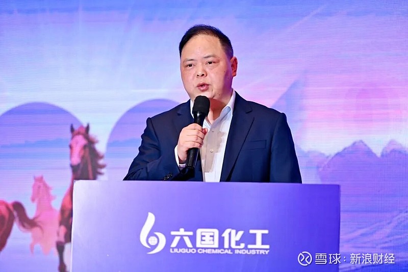 六国化工：公司累计对外担保金额约14.26亿元