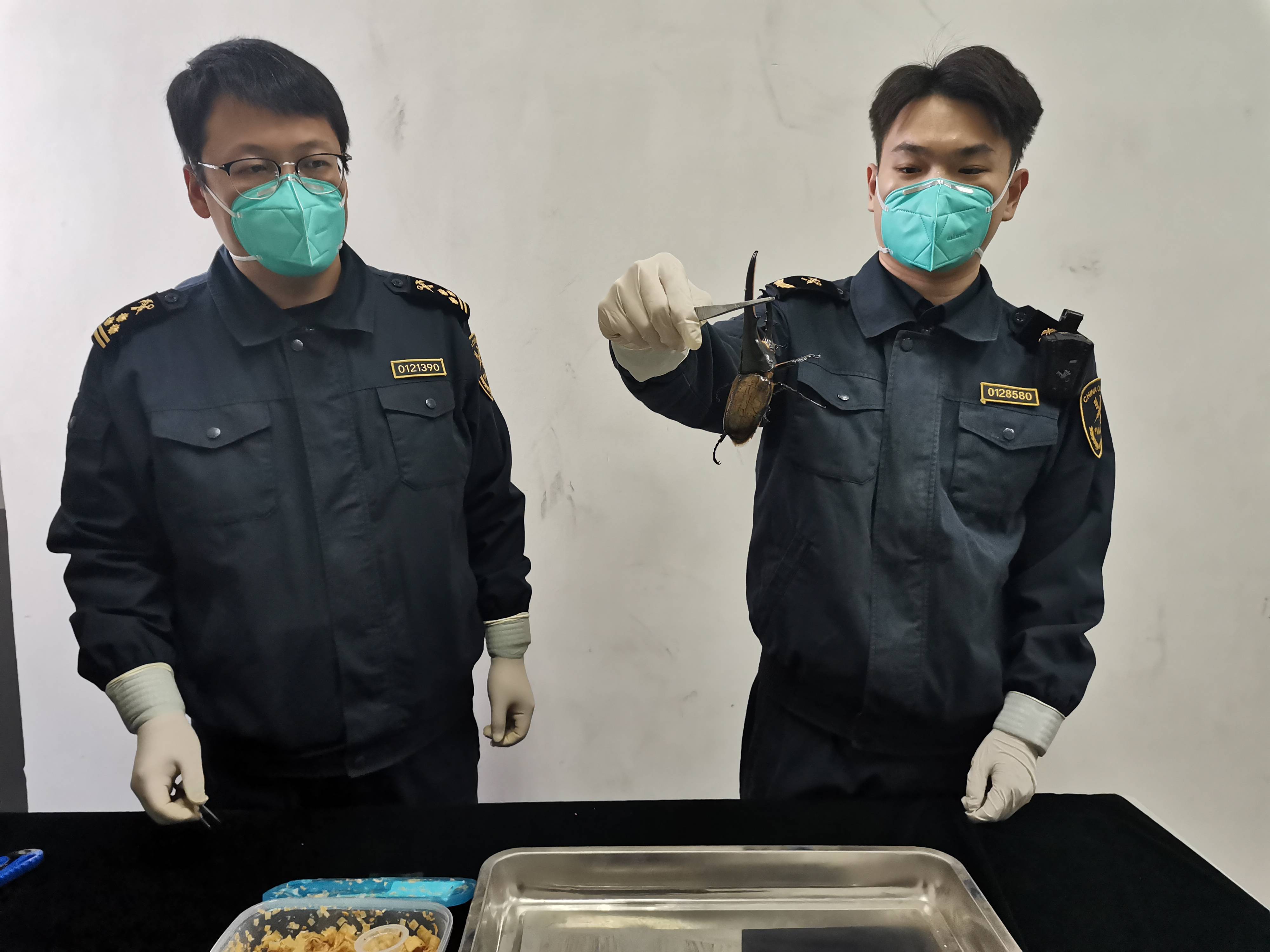 《海关总署关于〈中华人民共和国海关进口食品境外生产企业注册管理规定〉实施相关事宜的公告》的解读